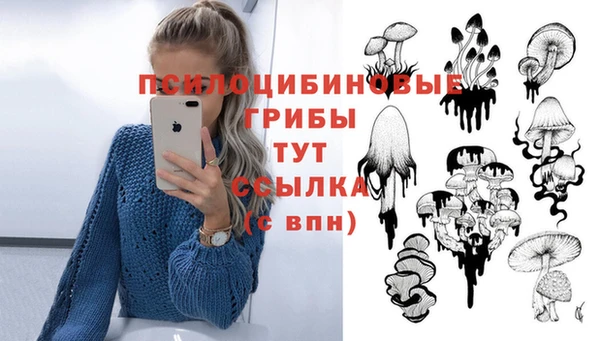 амф Ростов