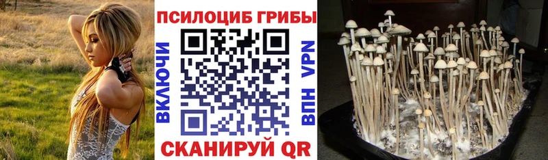 где найти   Белореченск  mega рабочий сайт  Галлюциногенные грибы мицелий 